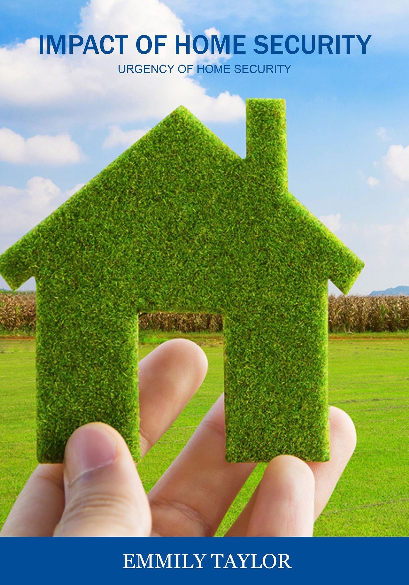 IMPACT OF HOME SECURITY