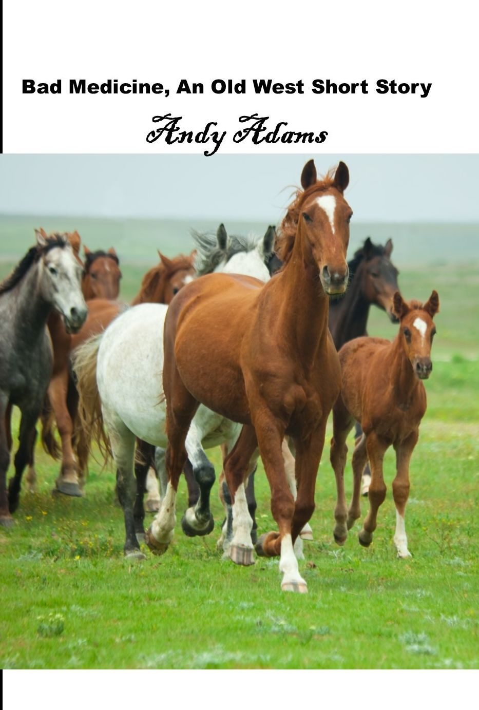 Bad Medicine, An Old West Short Story