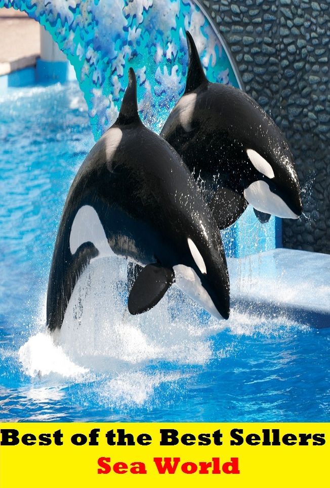 Best of the best sellers Sea World ( travel, driving, excursion, flying, movement, navigation, ride, sailing, sightseeing, tour, trip, journey, amusement, enjoyment, fun, hobby, pleasure, relaxation, refreshment )