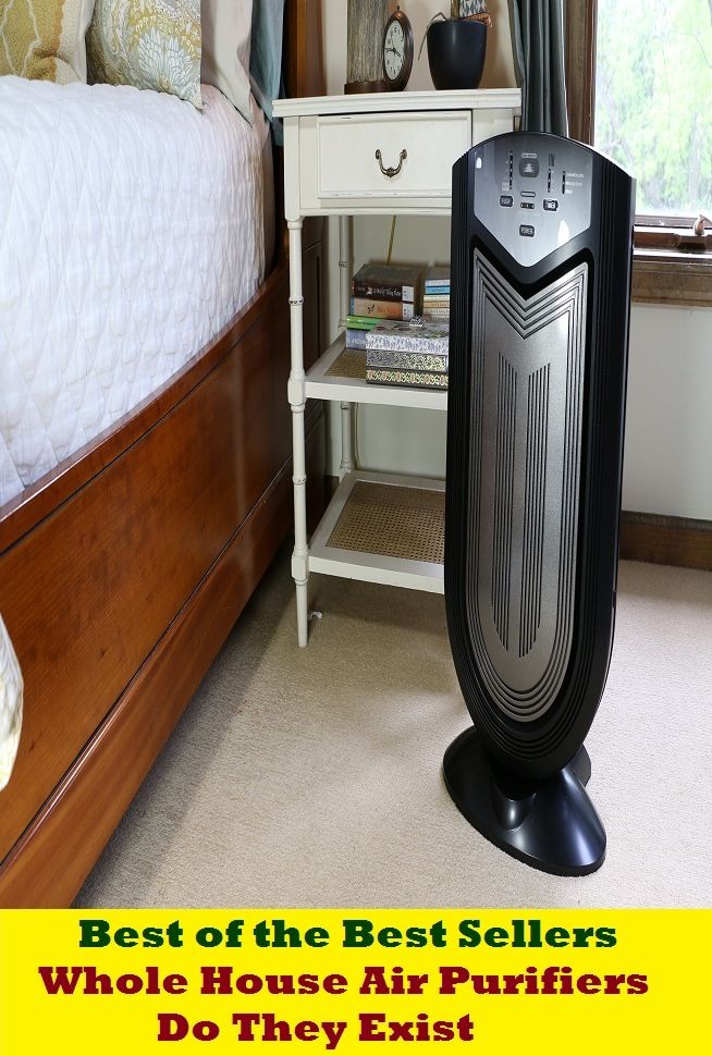 Best of the best seller Whole House Air Purifiers Do They Exist (cleanser, hygienic, sterile, antibacterial, antibiotic, clean, prophylactic, aseptic, bactericidal, germ-destroying)