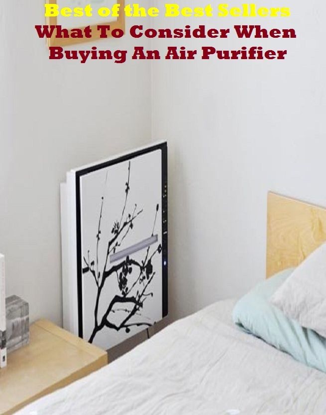 Best of the best seller What To Consider When Buying An Air Purifier (cleanser, hygienic, sterile, antibacterial, antibiotic, clean, prophylactic, aseptic, bactericidal, germ-destroying)