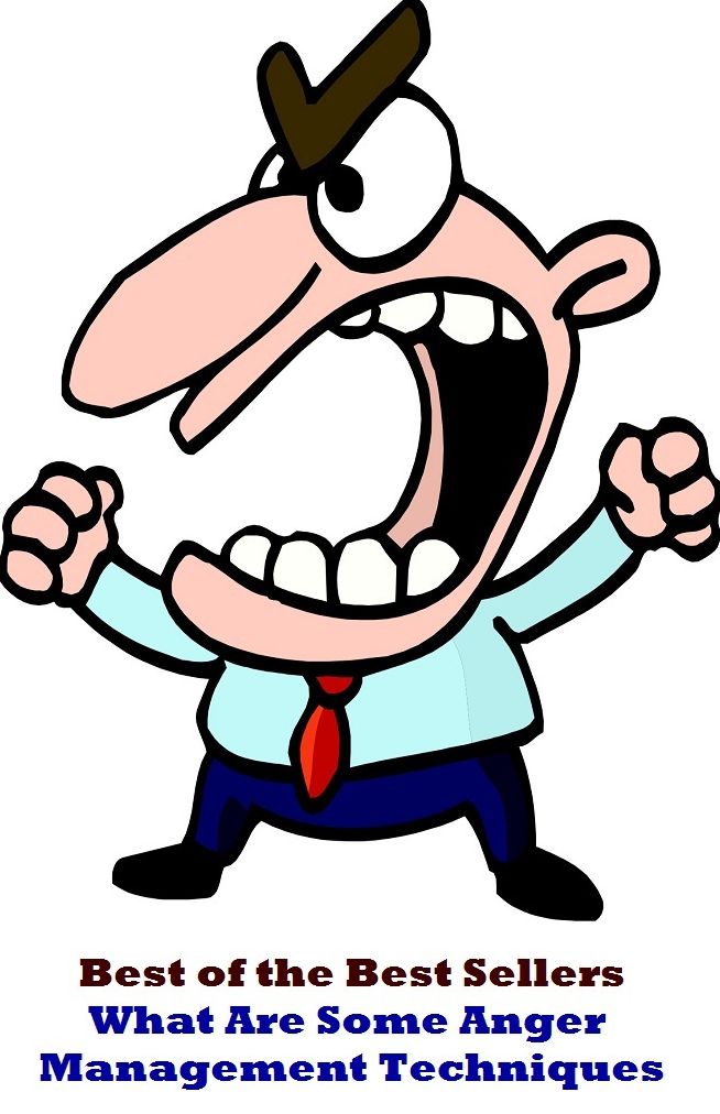 best of the best seller What Are Some Anger Management Techniques (administration, authority, board, executive, bosses, brass, directorate, directors, employers, execs, executives, head )