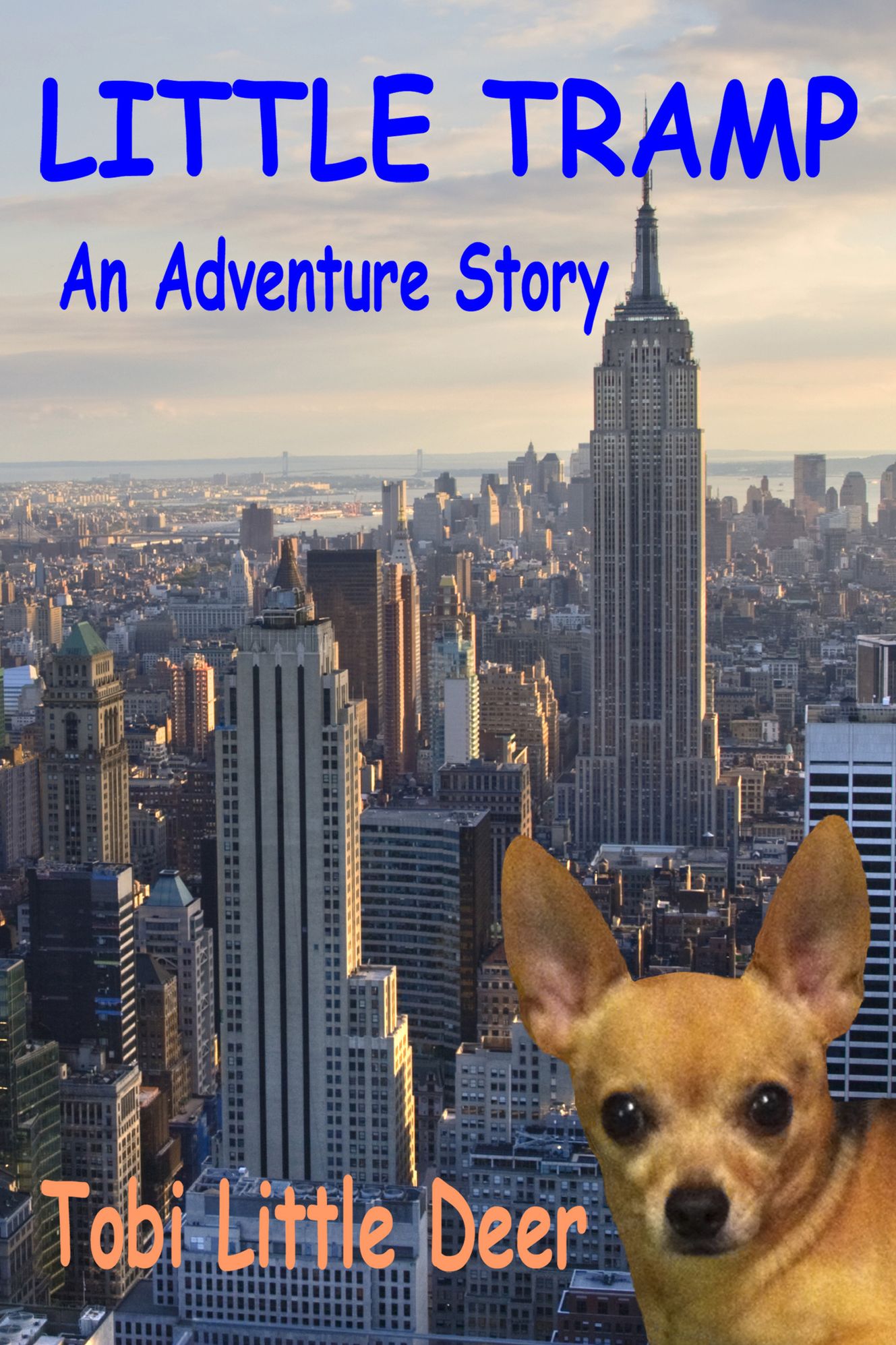 LITTLE TRAMP An Adventure Story