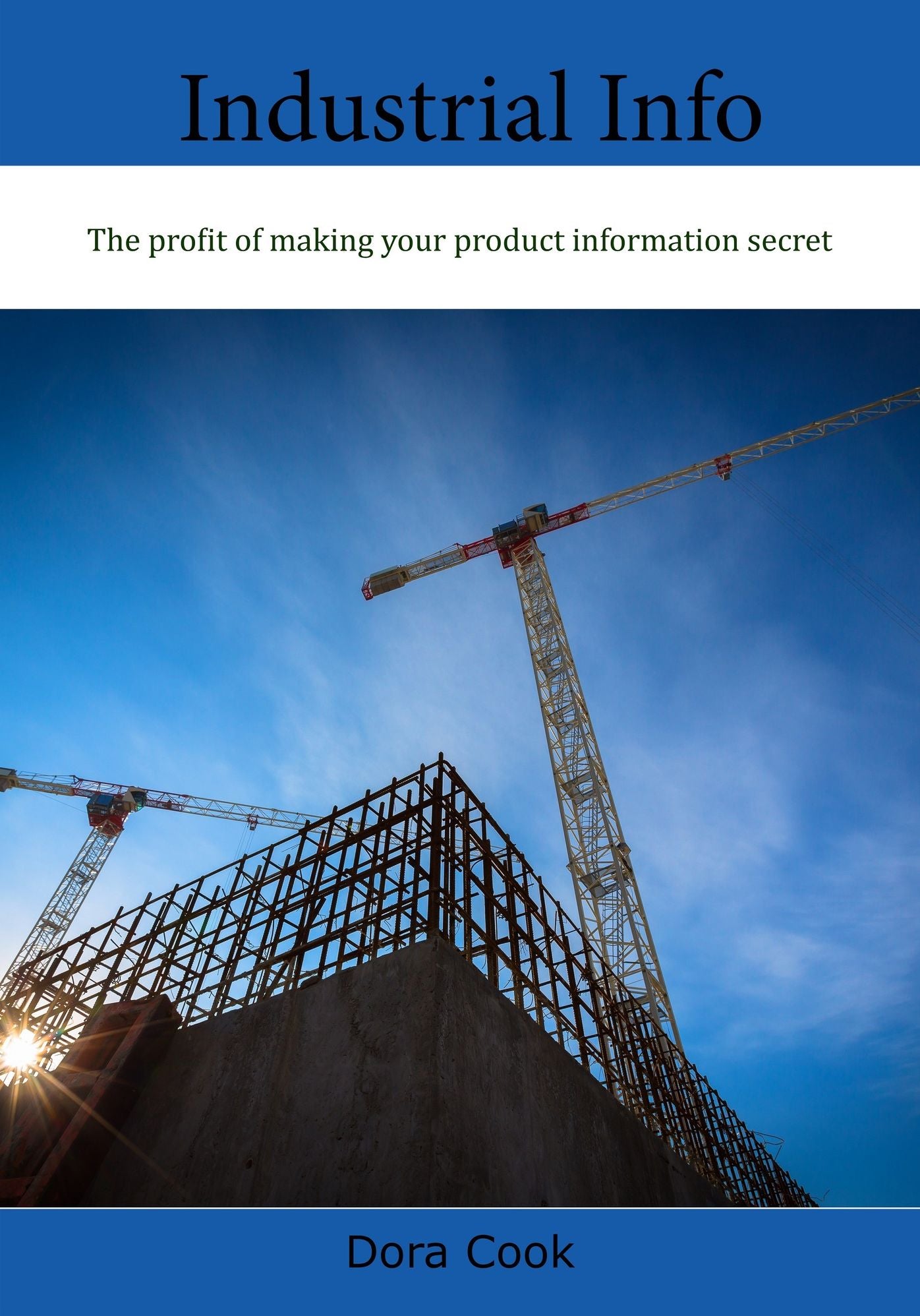 Industrial Info: The profit of making your product information secret