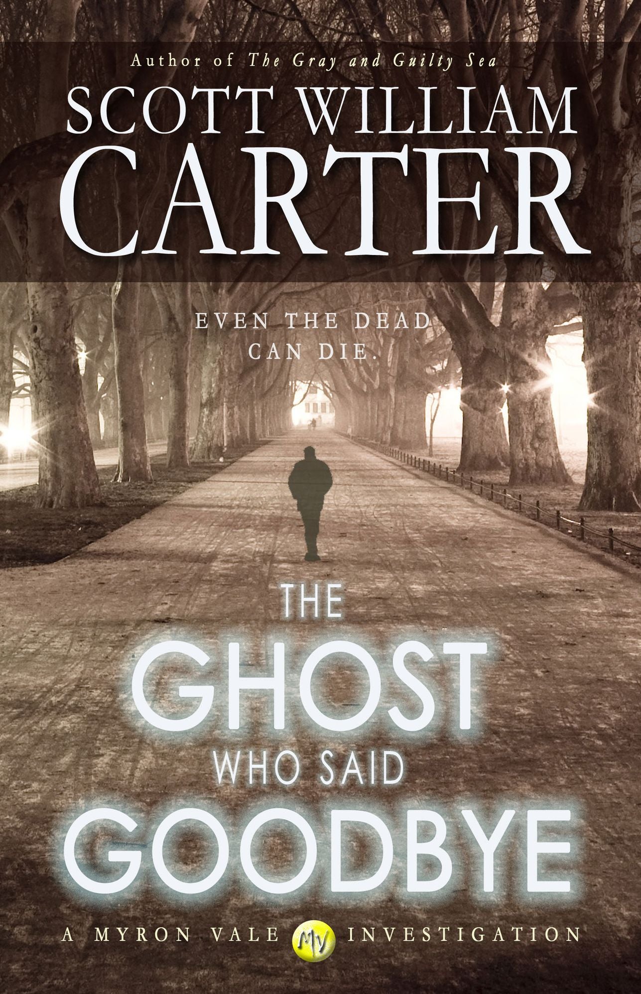 The Ghost Who Said Goodbye