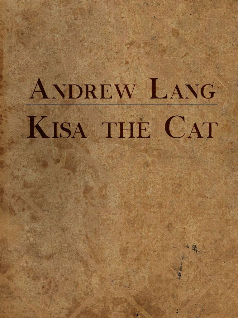 Kisa The Cat
