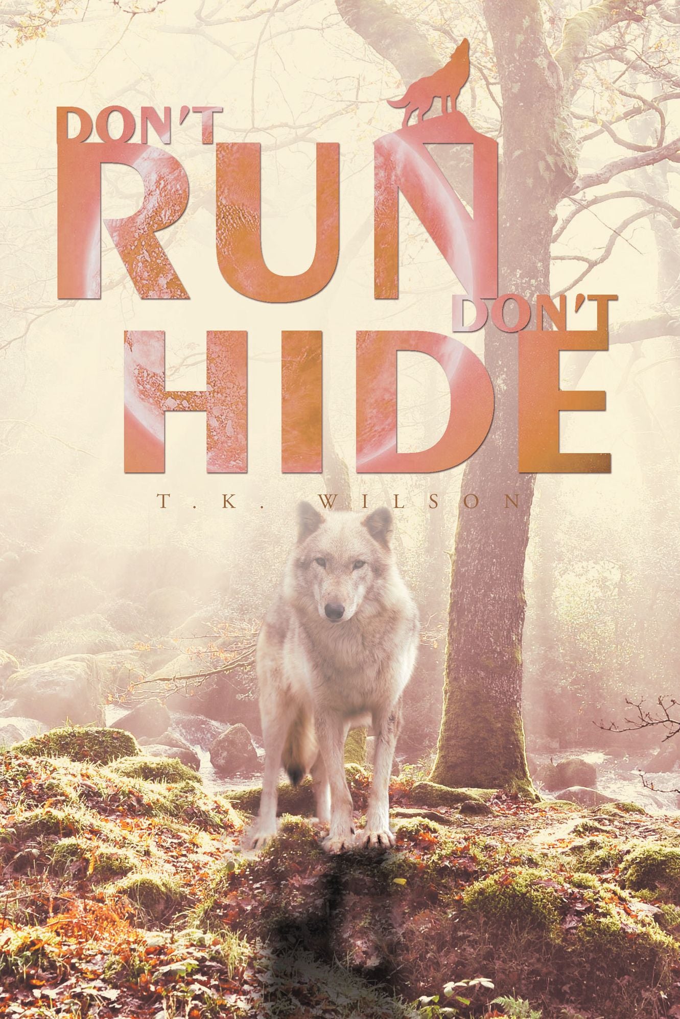 Don't Run, Don't Hide