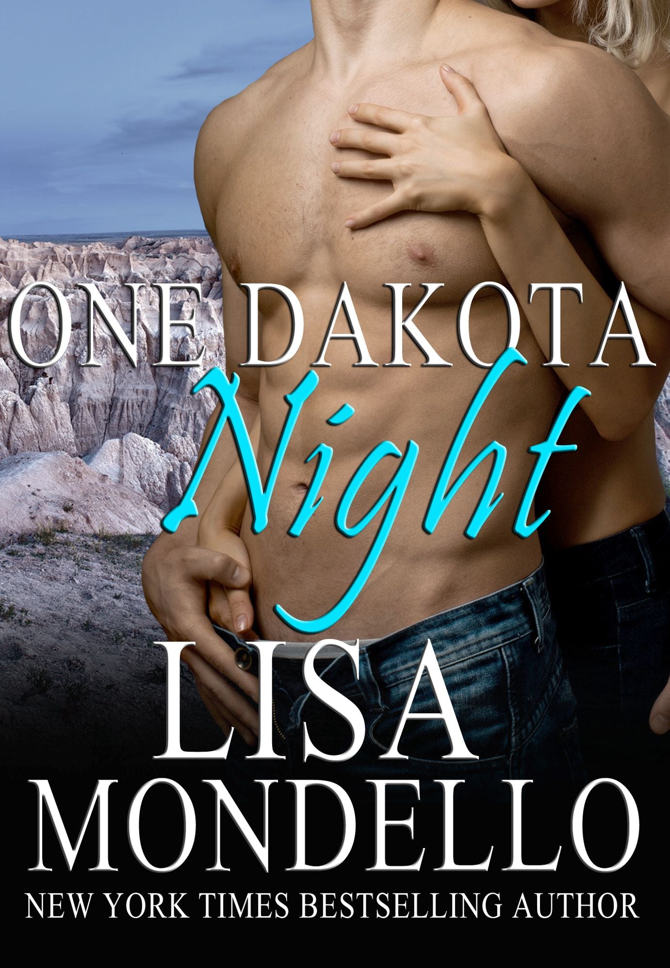 One Dakota Night, a western romance