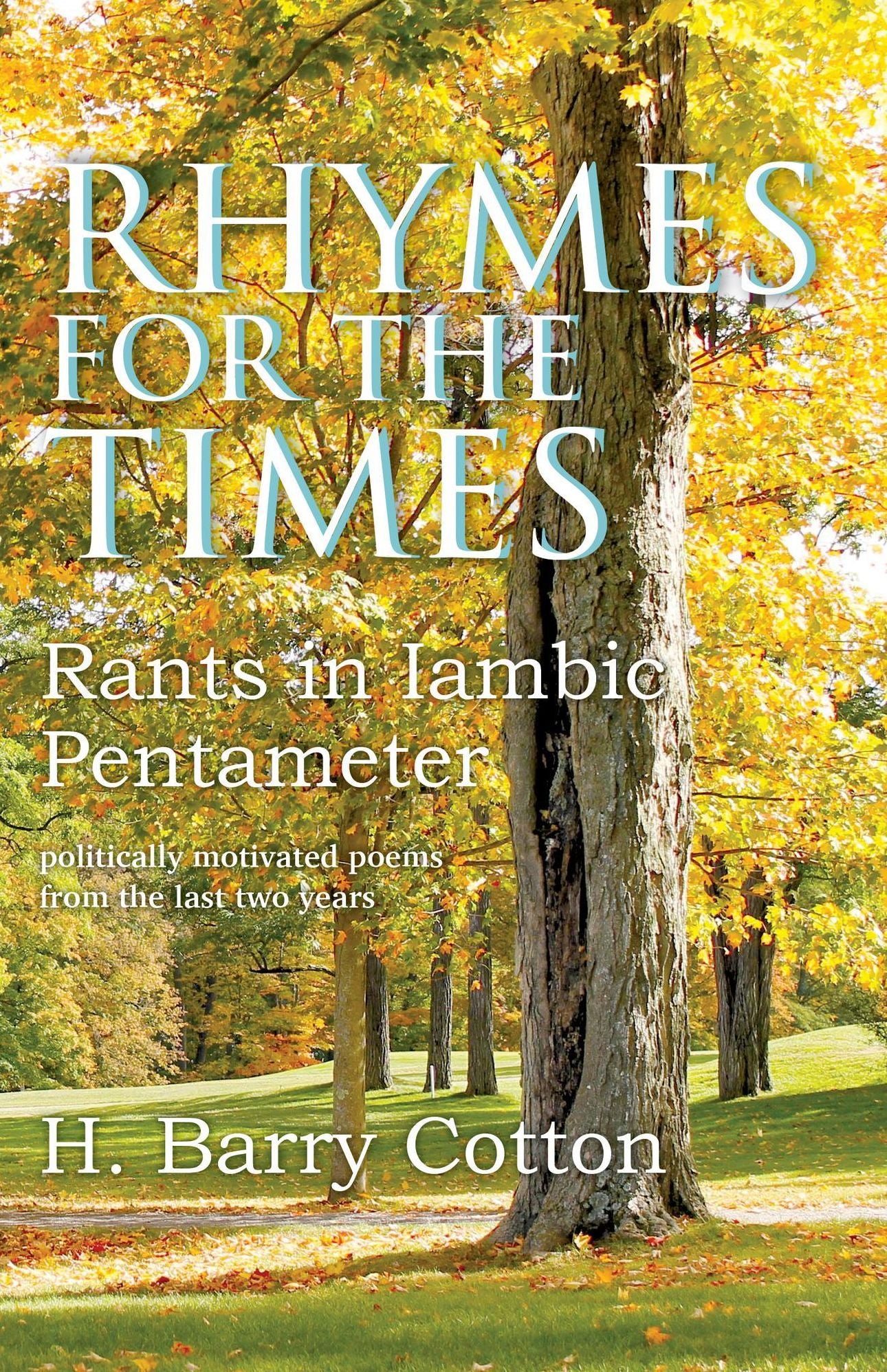 Rhymes for the Times: Rants in Iambic PentameterPolitically Motivated Poems from the Last Two Years