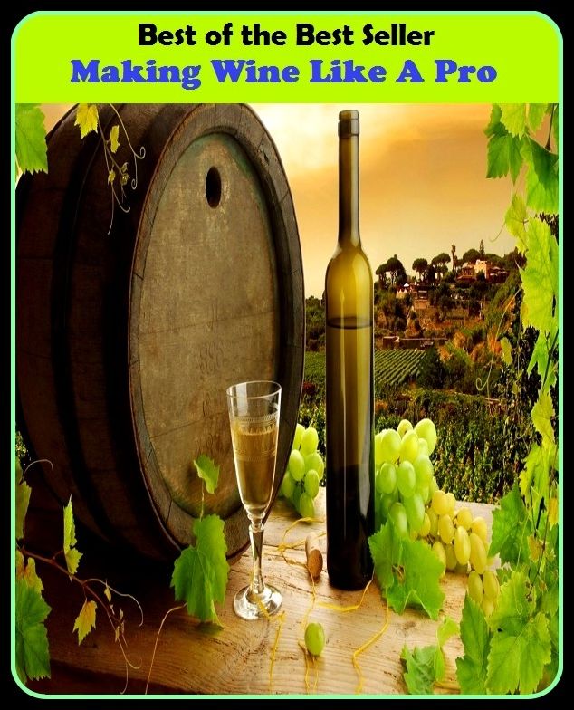 Best of the Best Sellers Making Wine Like A Pro (color, periwinkle, lavender, plum, lilac, violet, mauve, amethyst, heliotrope, magenta, mulberry, orchid)
