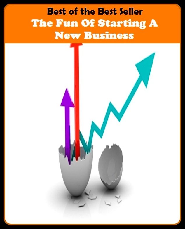 Best of the Best Sellers The Fun Of Starting A New Business (biz, bag, trade, work, career, craft, line, vocation, game, field)