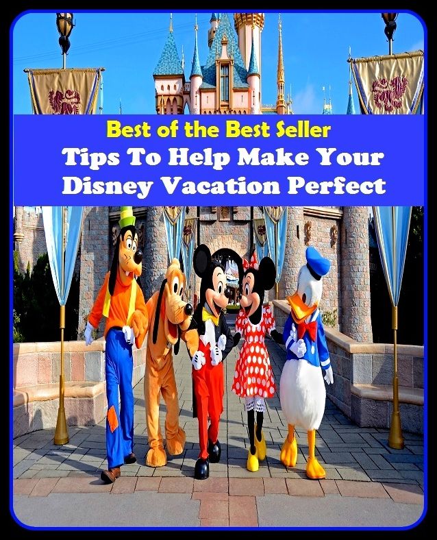 Best of the Best Sellers Tips To Help Make Your Disney Vacation P (layoff, break, holiday, rest, leave, fiesta, respite, intermission, recess, spell)