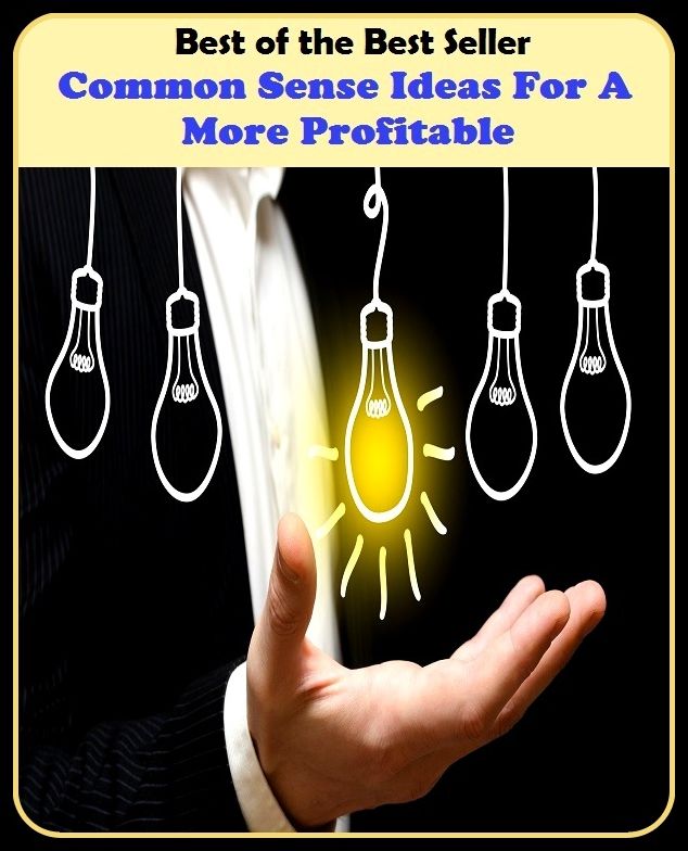 Best of the Best Sellers Common Sense Ideas For A More Profitable(beneficial, commerical, cost-effective, fruitful, good, lucrative, practical, productive, rewarding, useful)