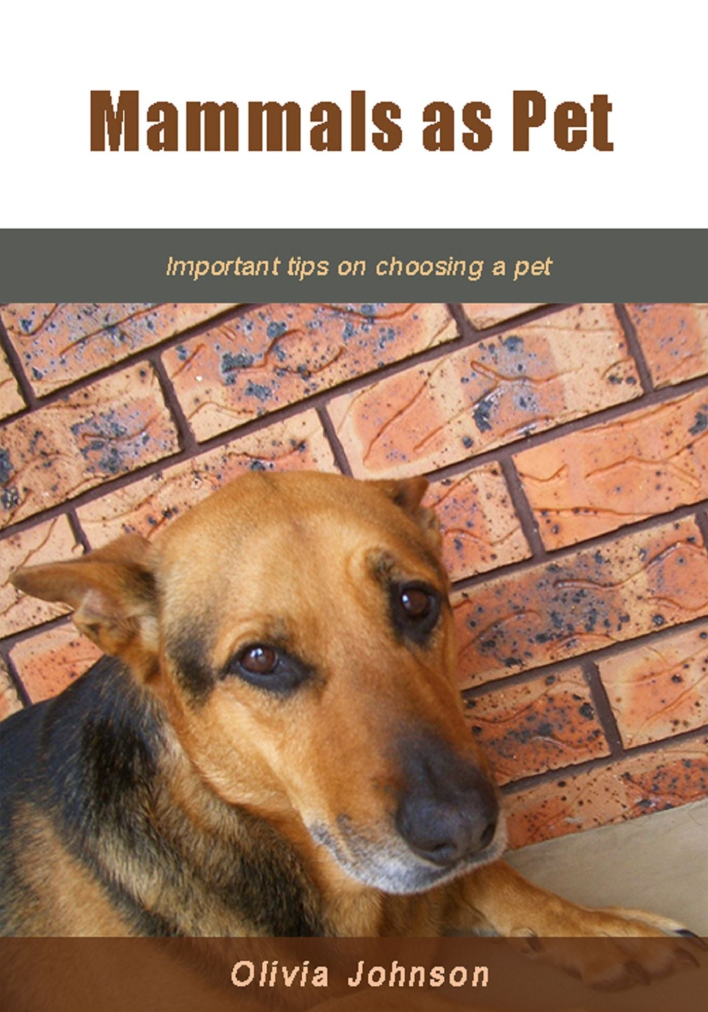 Mammals as pet