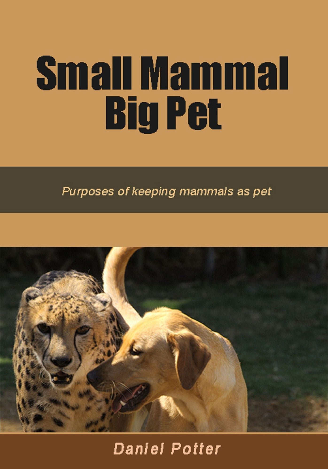 Small mammmal big pet