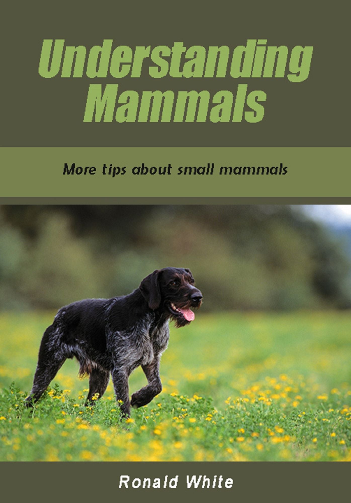 Understanding mammals