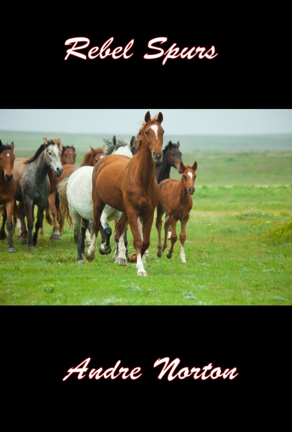 Rebel Spurs, The Original Western Classic Novel