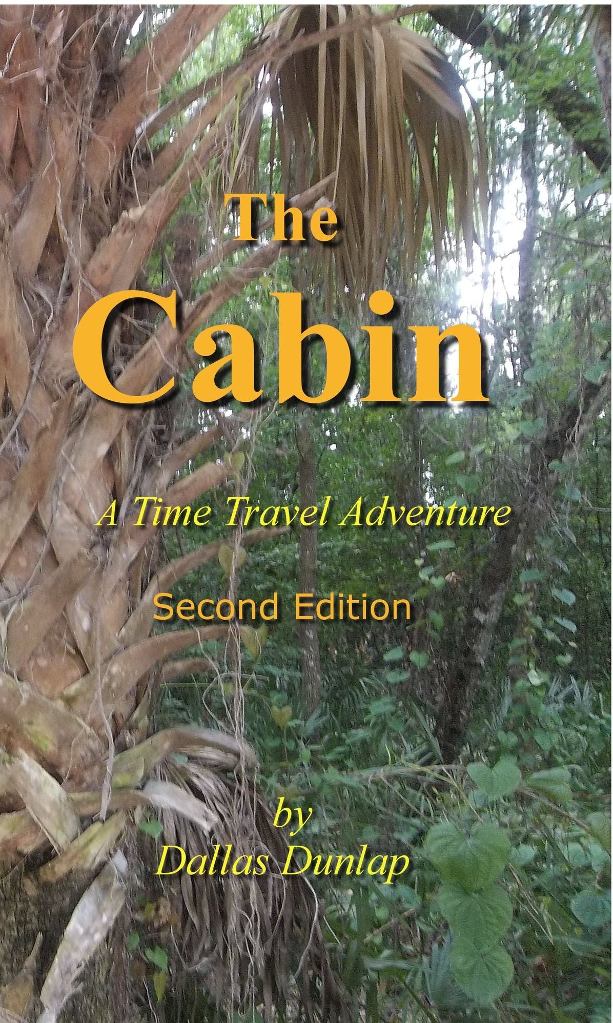 The Cabin: A Time Travel Adventure