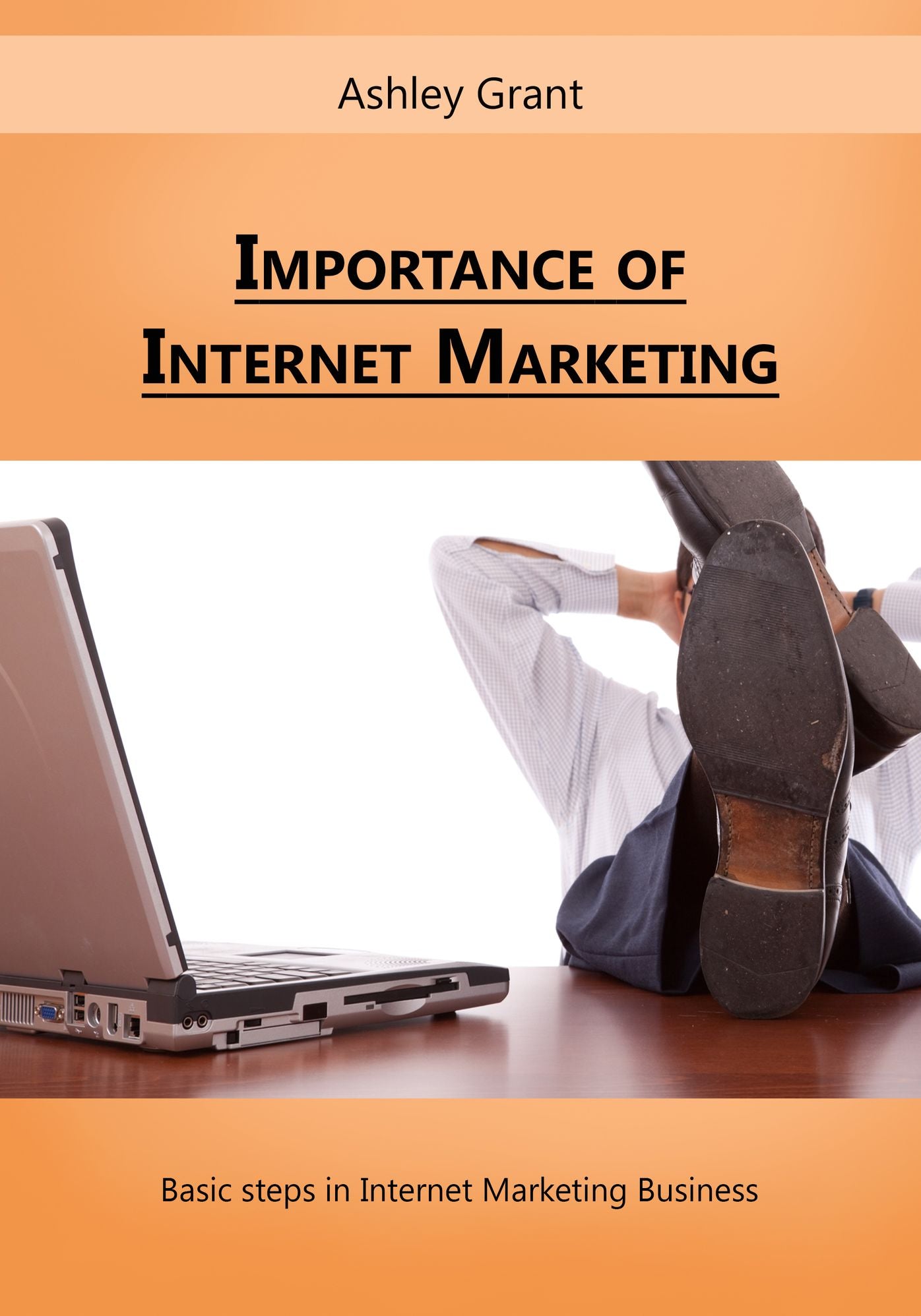 Importance of Internet Marketing: Basic steps in Internet Marketing Business