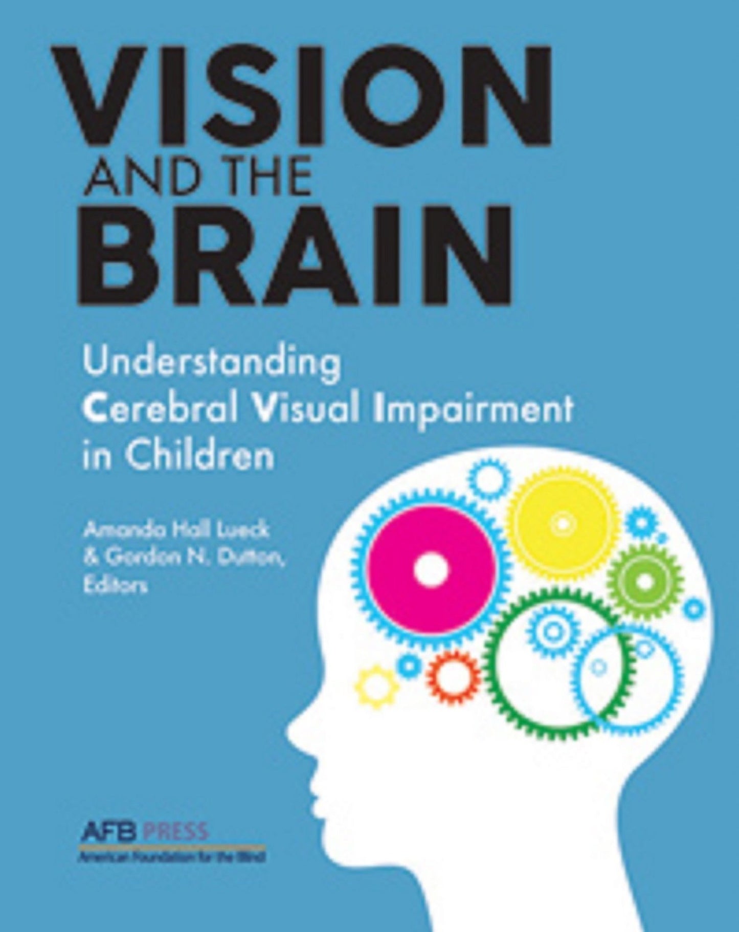 Vision and the Brain: Understanding Cerebral Visual Impairment in Children