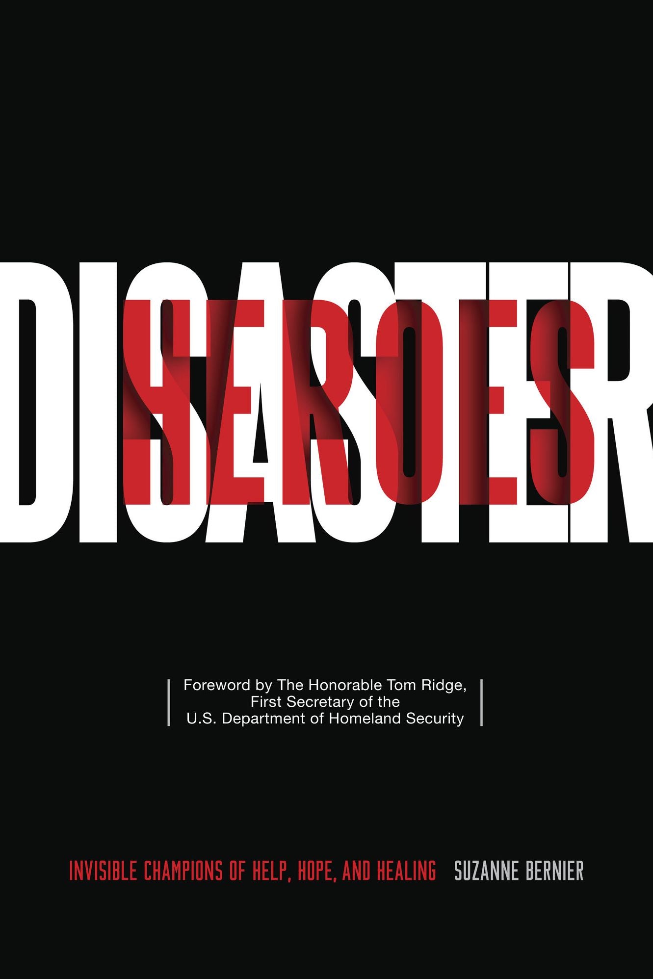 Disaster Heroes