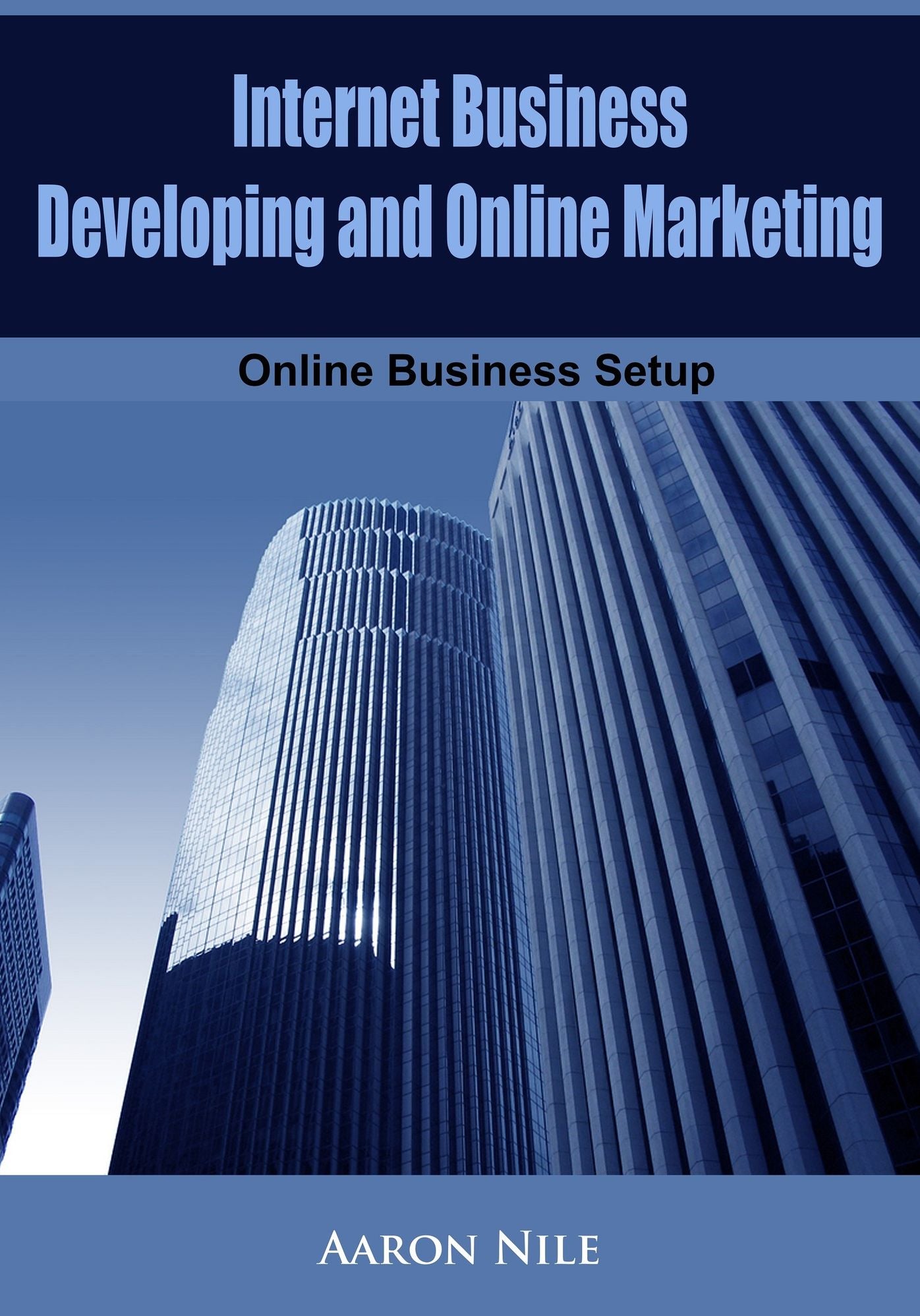 Internet Business Developing and Online Marketing