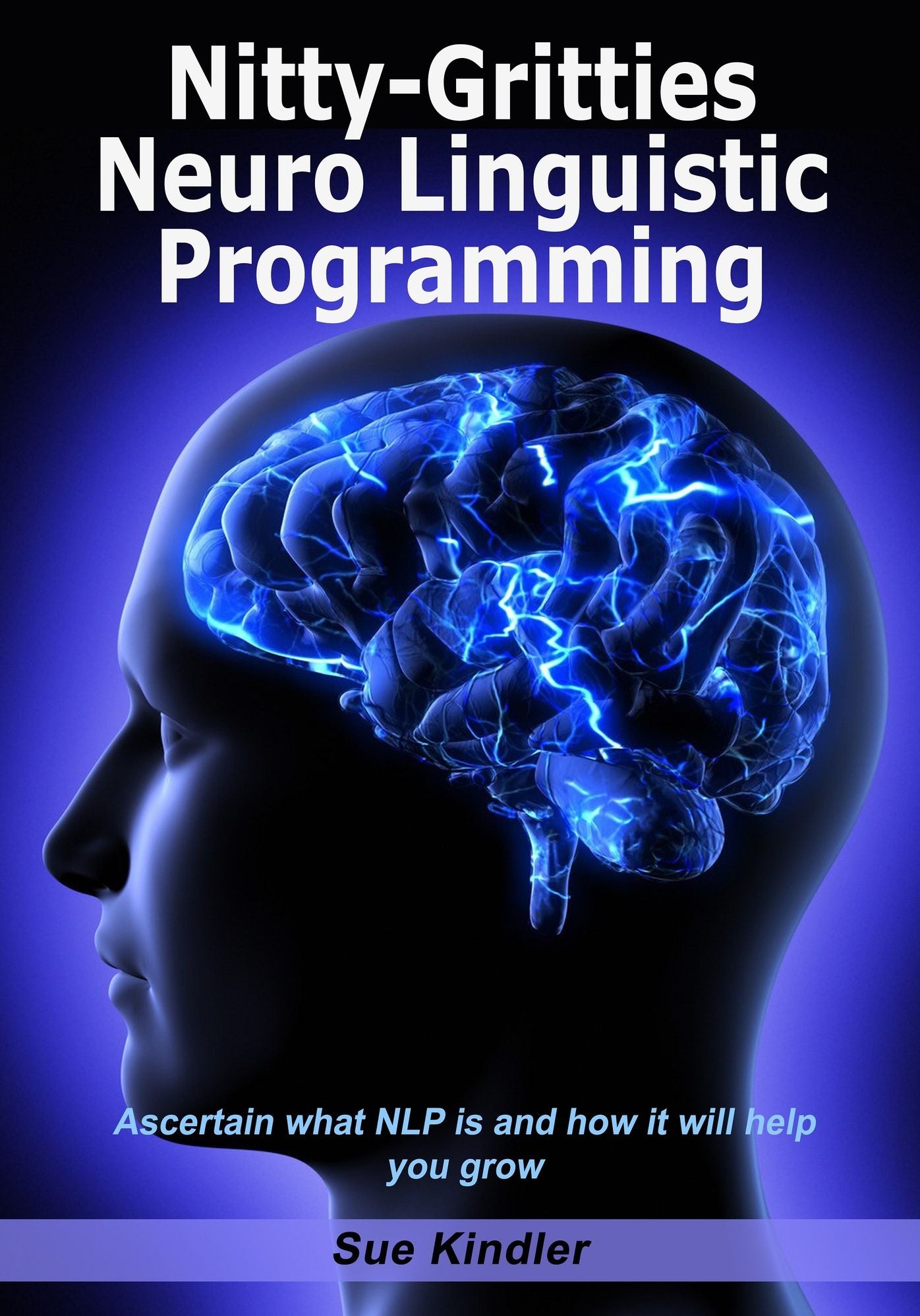 Nitty-Gritties Neuro Linguistic Programming