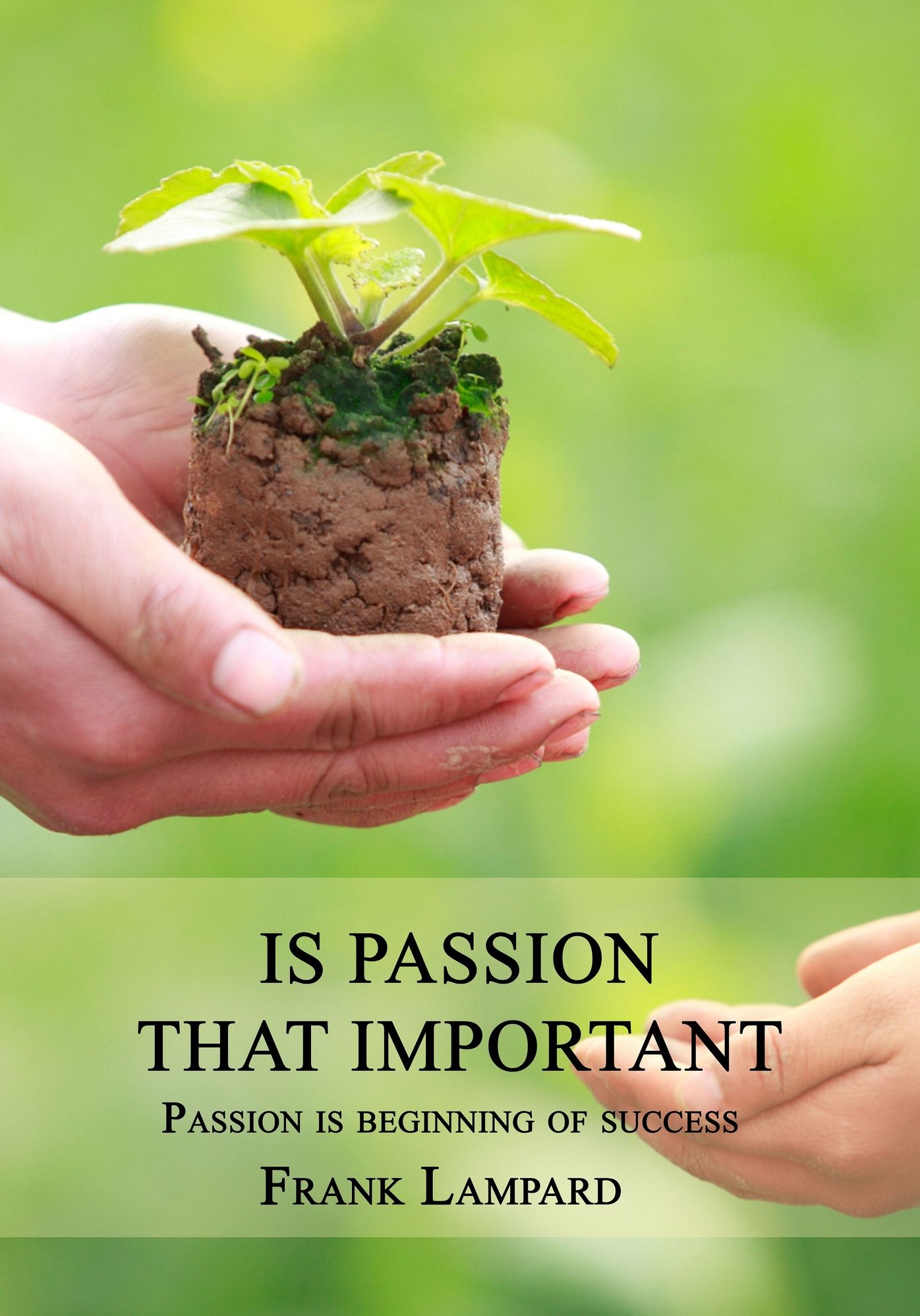 Is Passion that important: Passion is beginning of success