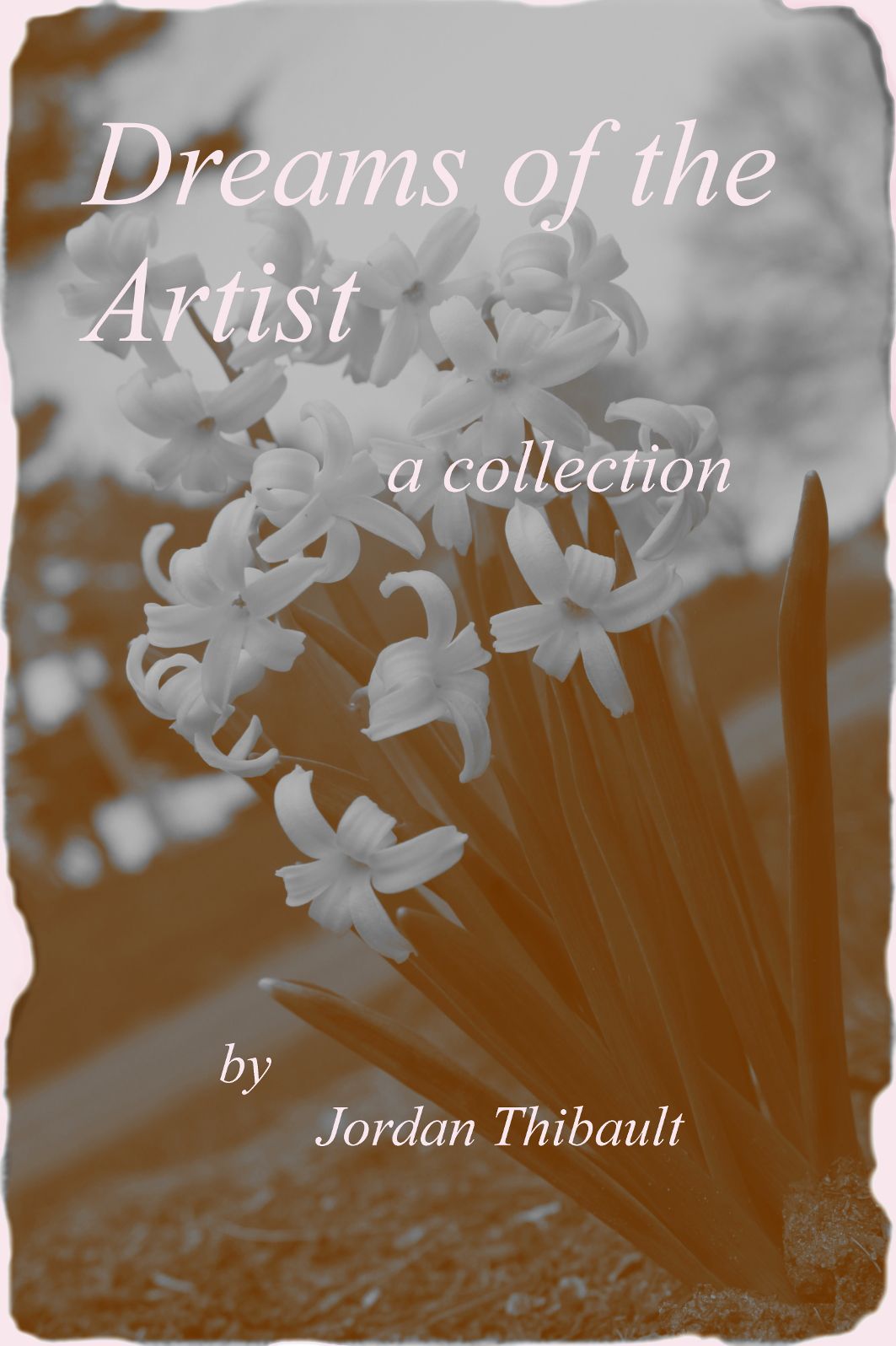 Dreams Of The Artist: A Collection