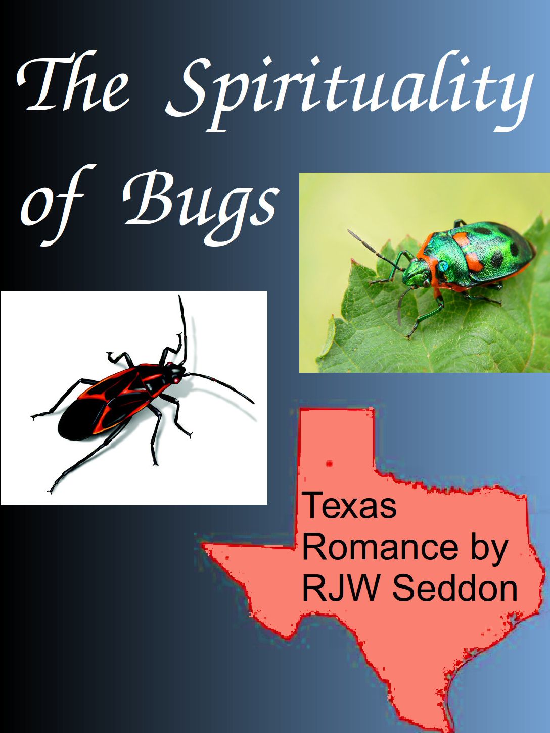 The Spirituality of Bugs