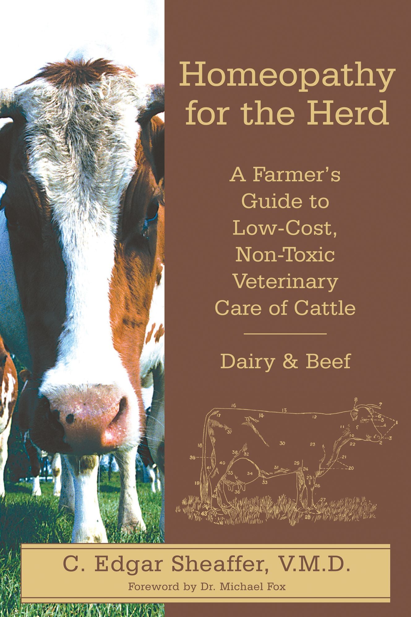 Homeopathy for the Herd: A Farmer's Guide to Low-Cost, Non-Toxic Veterinary Care of Cattle
