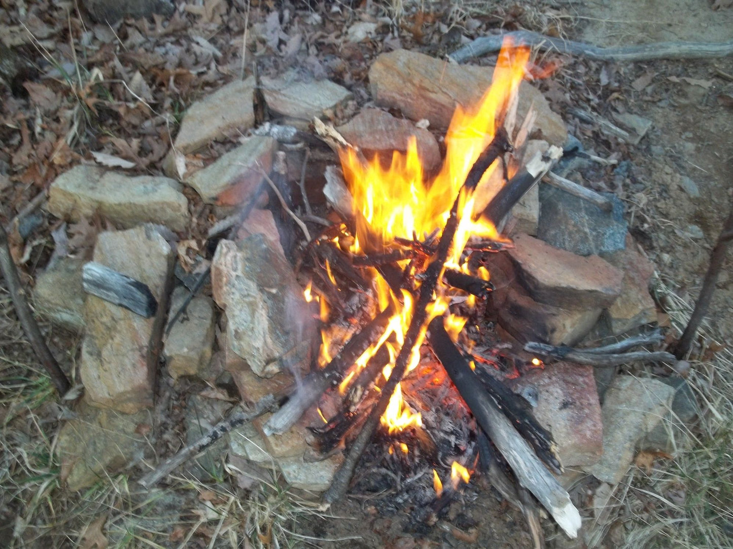 Eight Commonsense Survival Skills