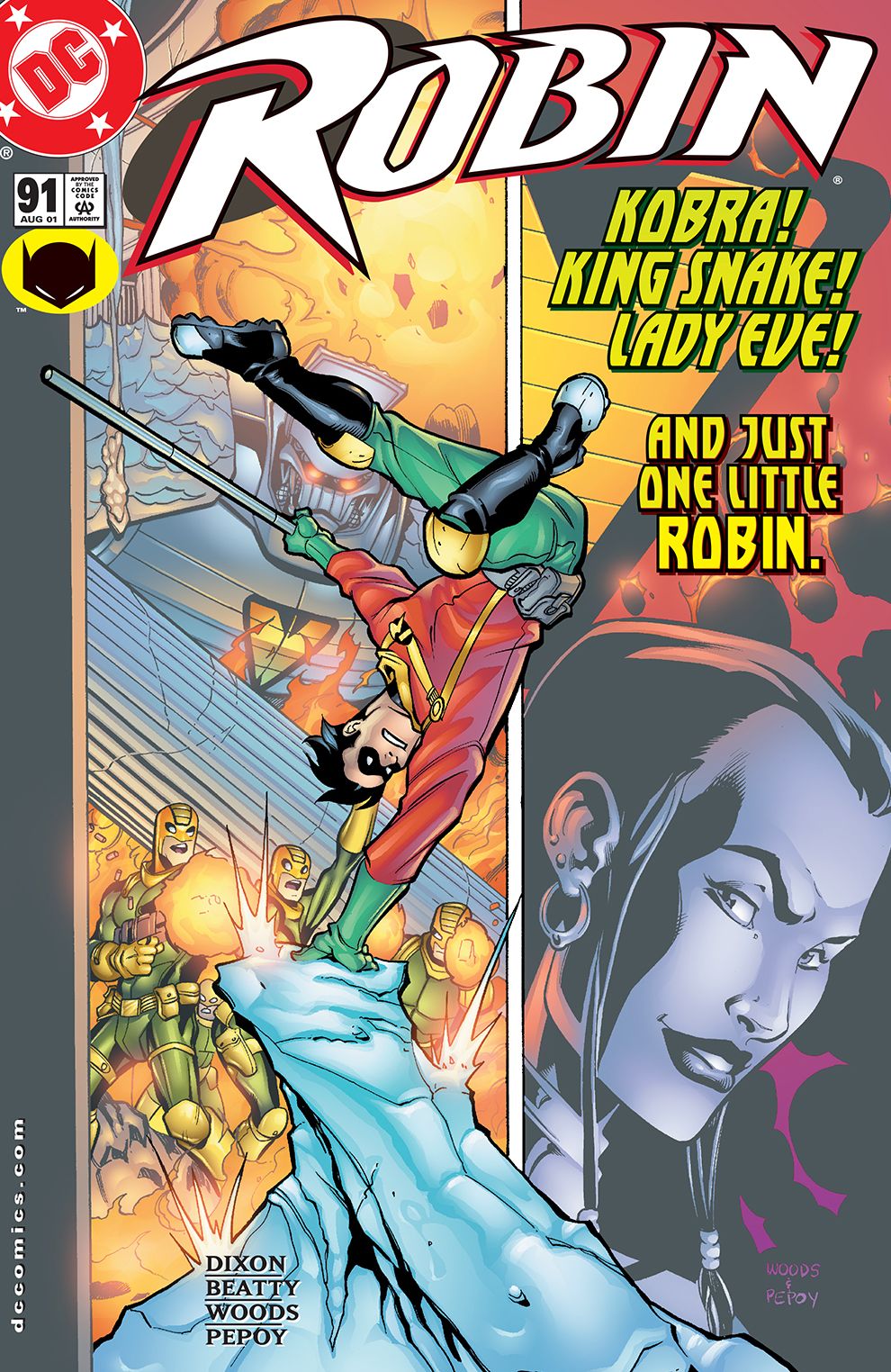 Robin (1993-) #91