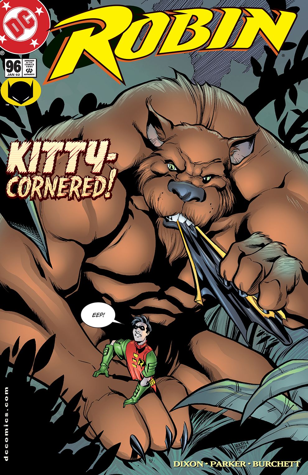 Robin (1993-) #96