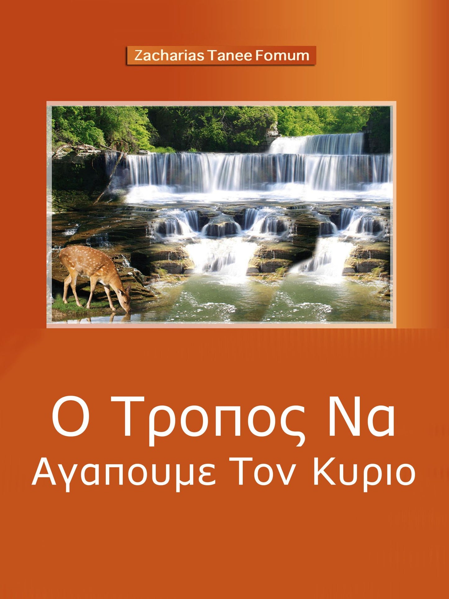 O Tropos Na Agapoume Ton Kyrio (mia Pneumatike Istoria Agapes)