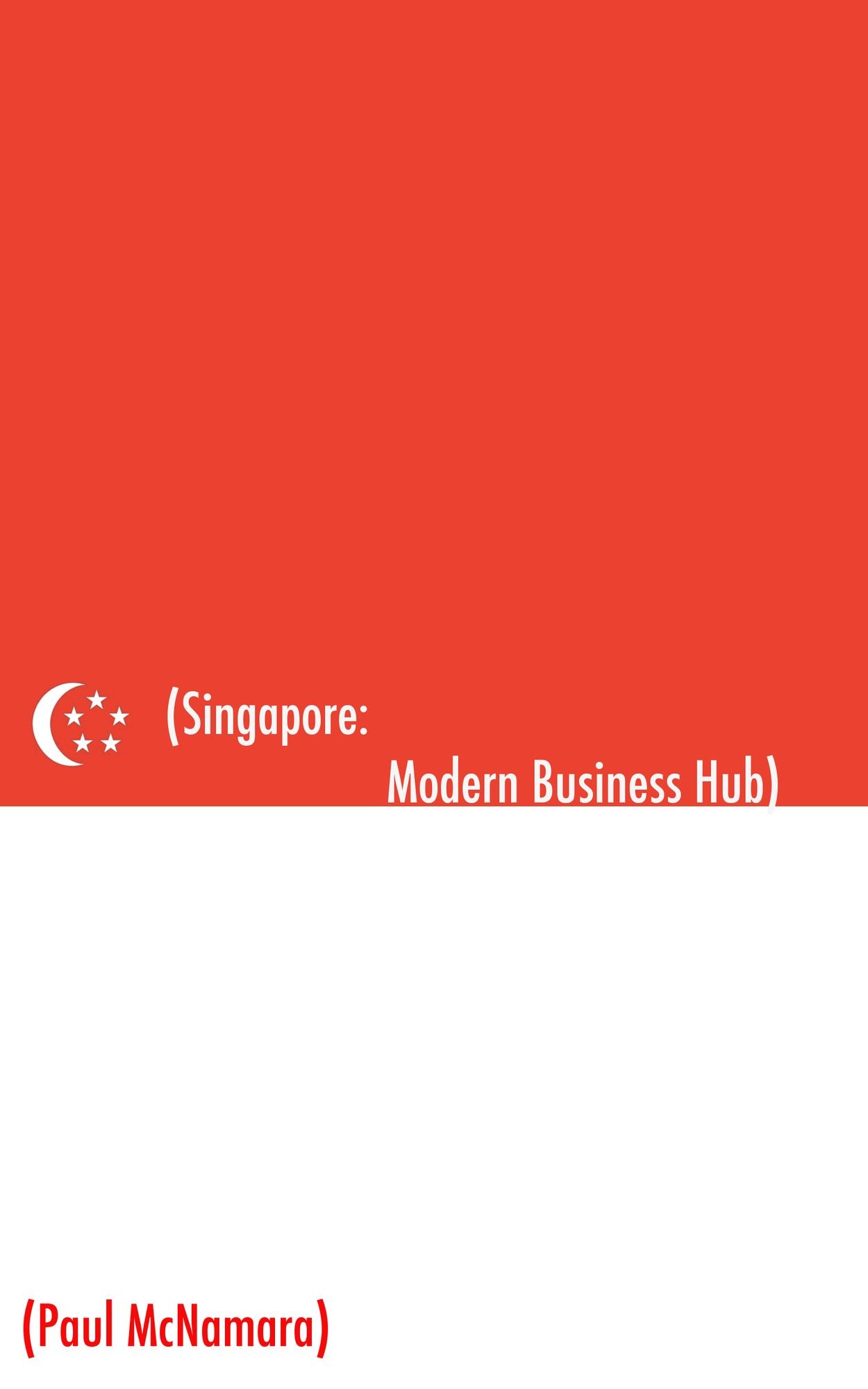 Singapore Modern Business Hub: A Mini Guide