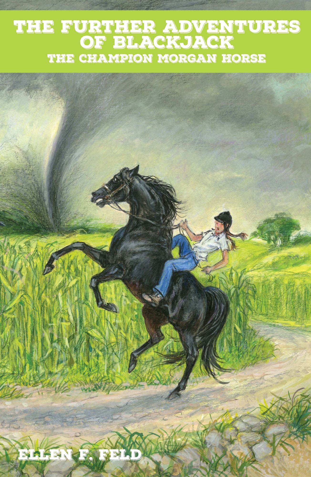 The Further Adventures of Blackjack: The Champion Morgan Horse