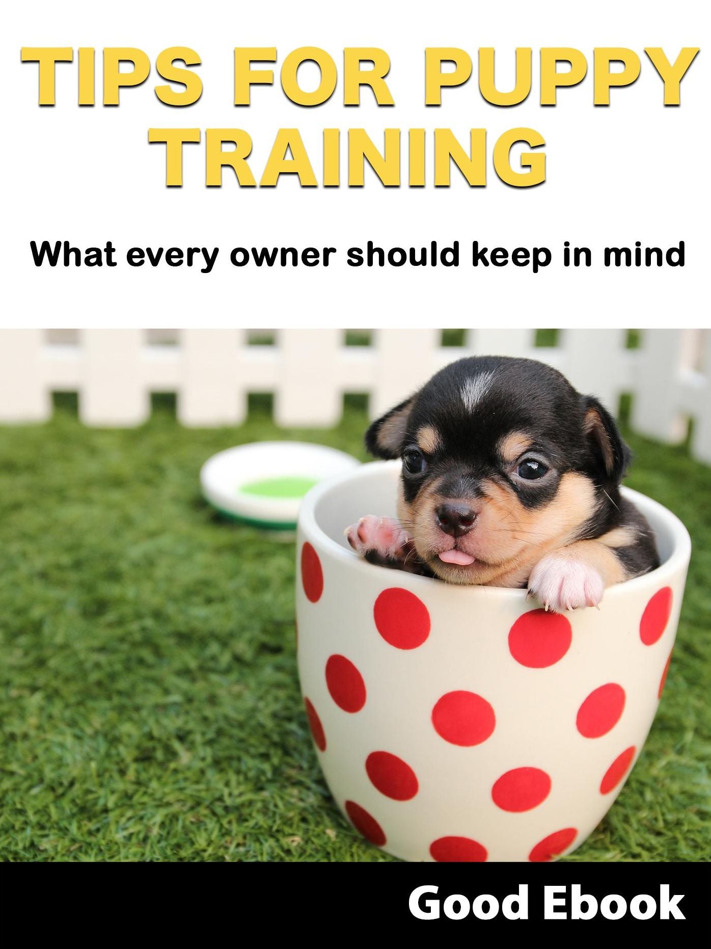 Tips For Puppy Training: What every owner should keep in mind