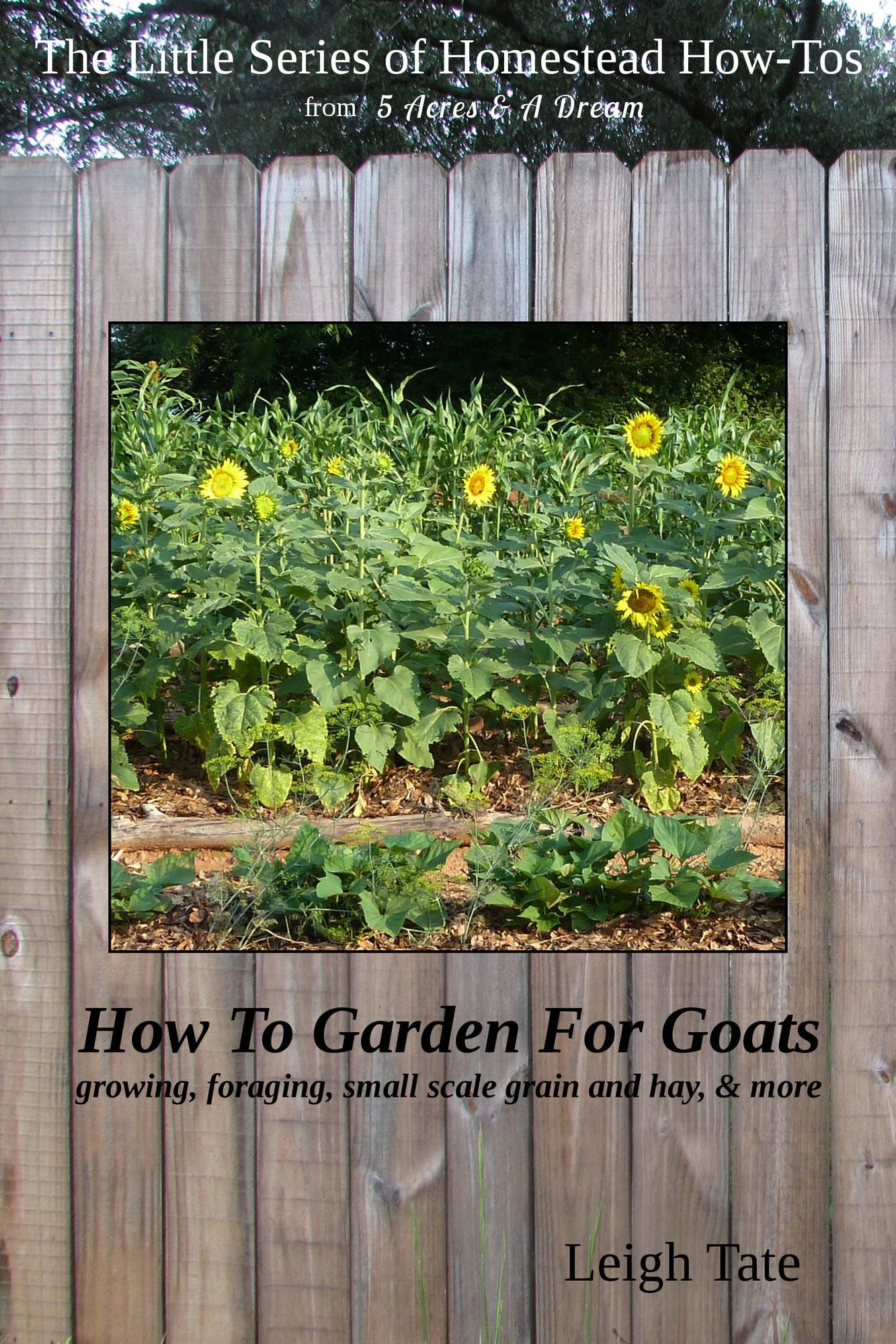 How To Garden For Goats: Gardening, Foraging, Small-Scale Grain and Hay, & More