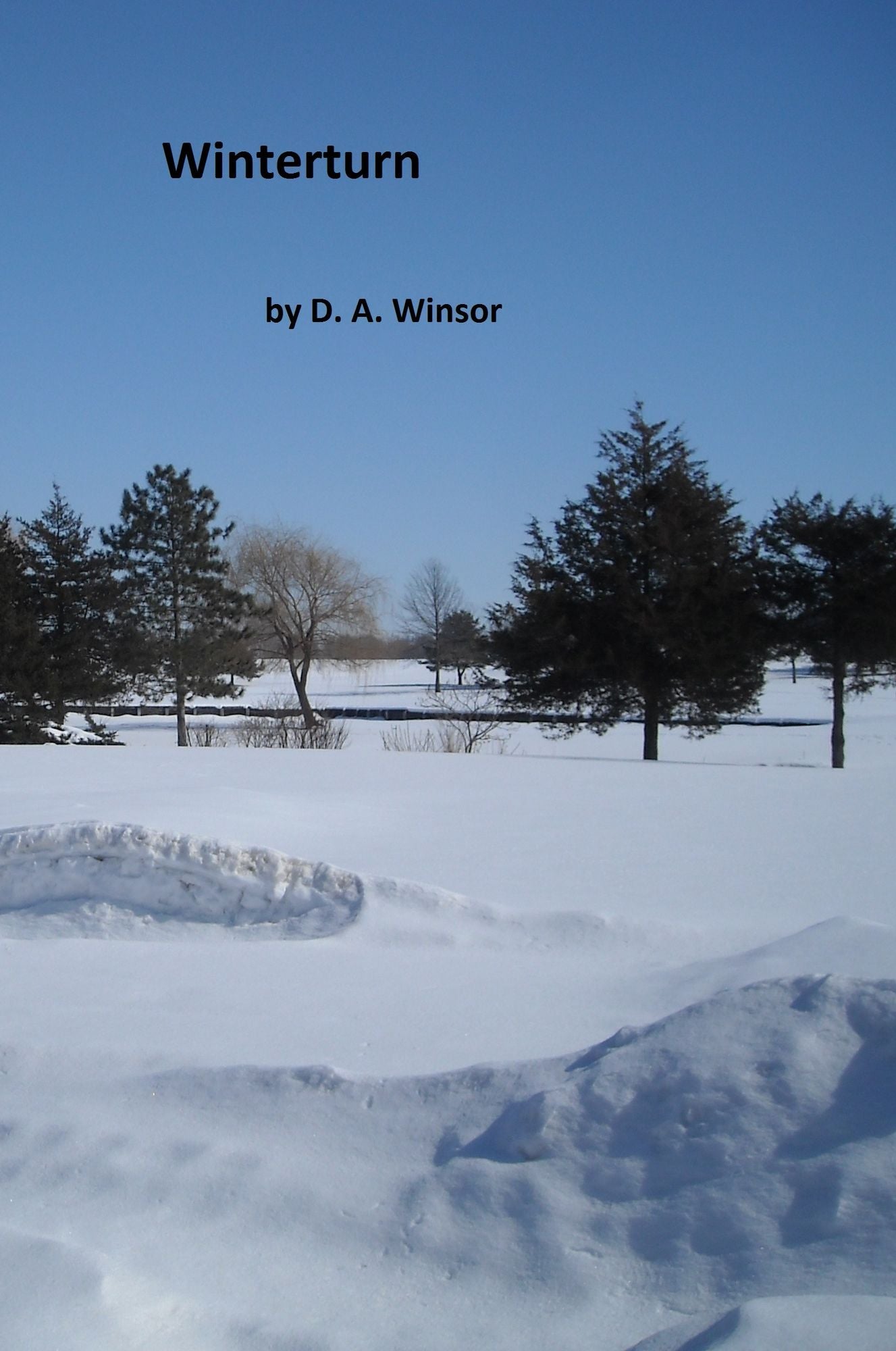 Winterturn