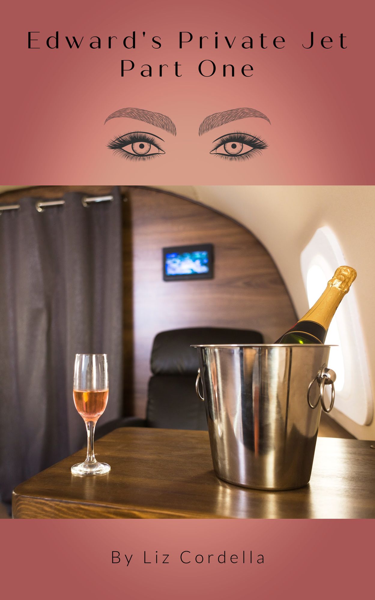 Edward's Private Jet-Part One