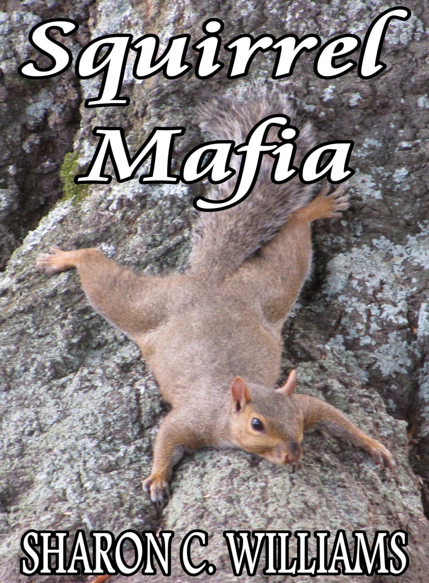 Squirrel Mafia