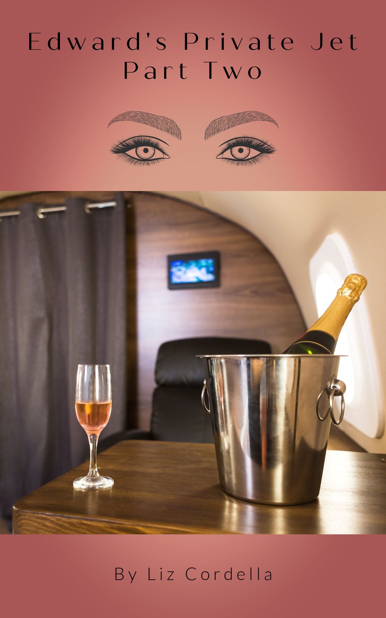 Edward's Private Jet-Part Two