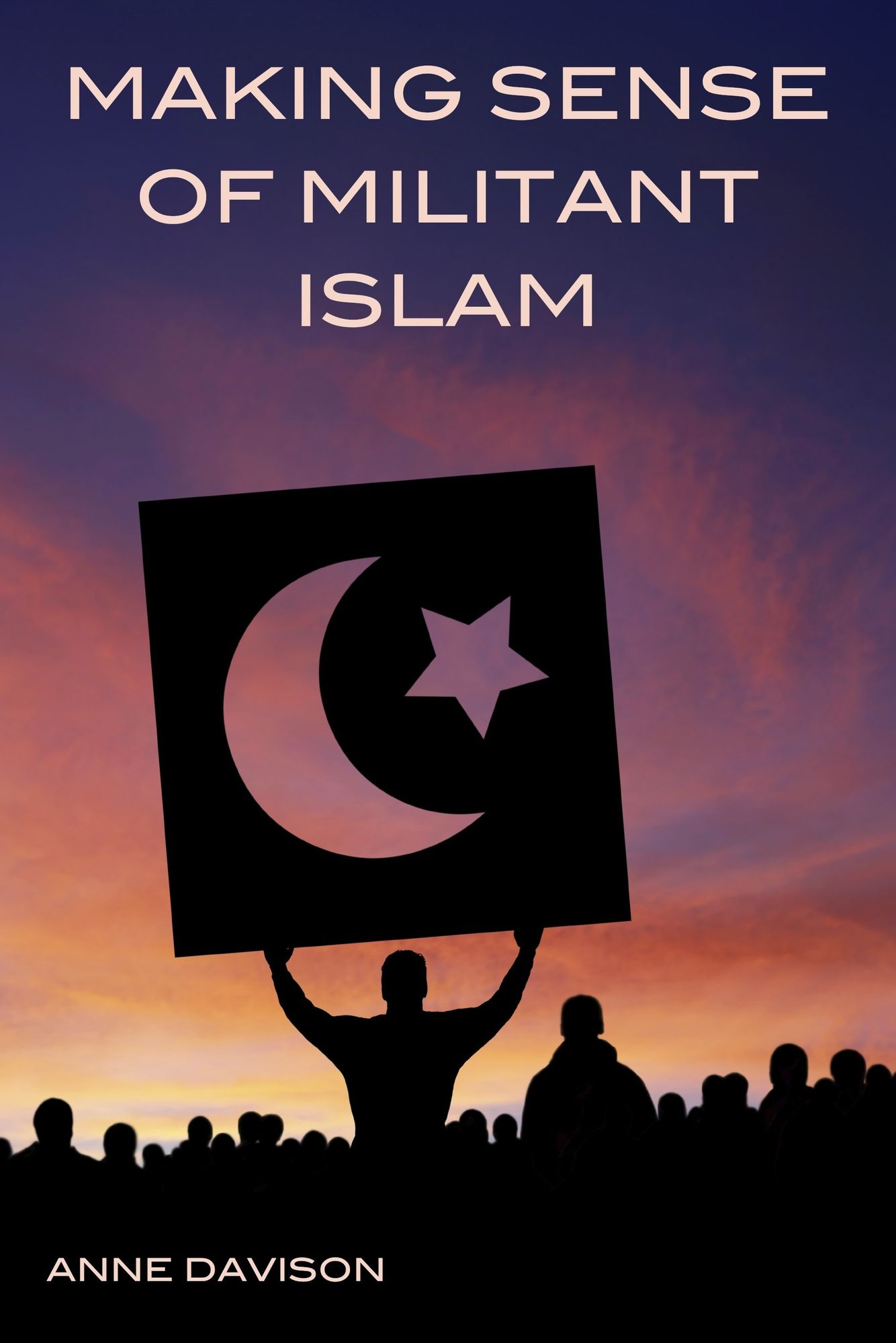 Making Sense of Militant Islam