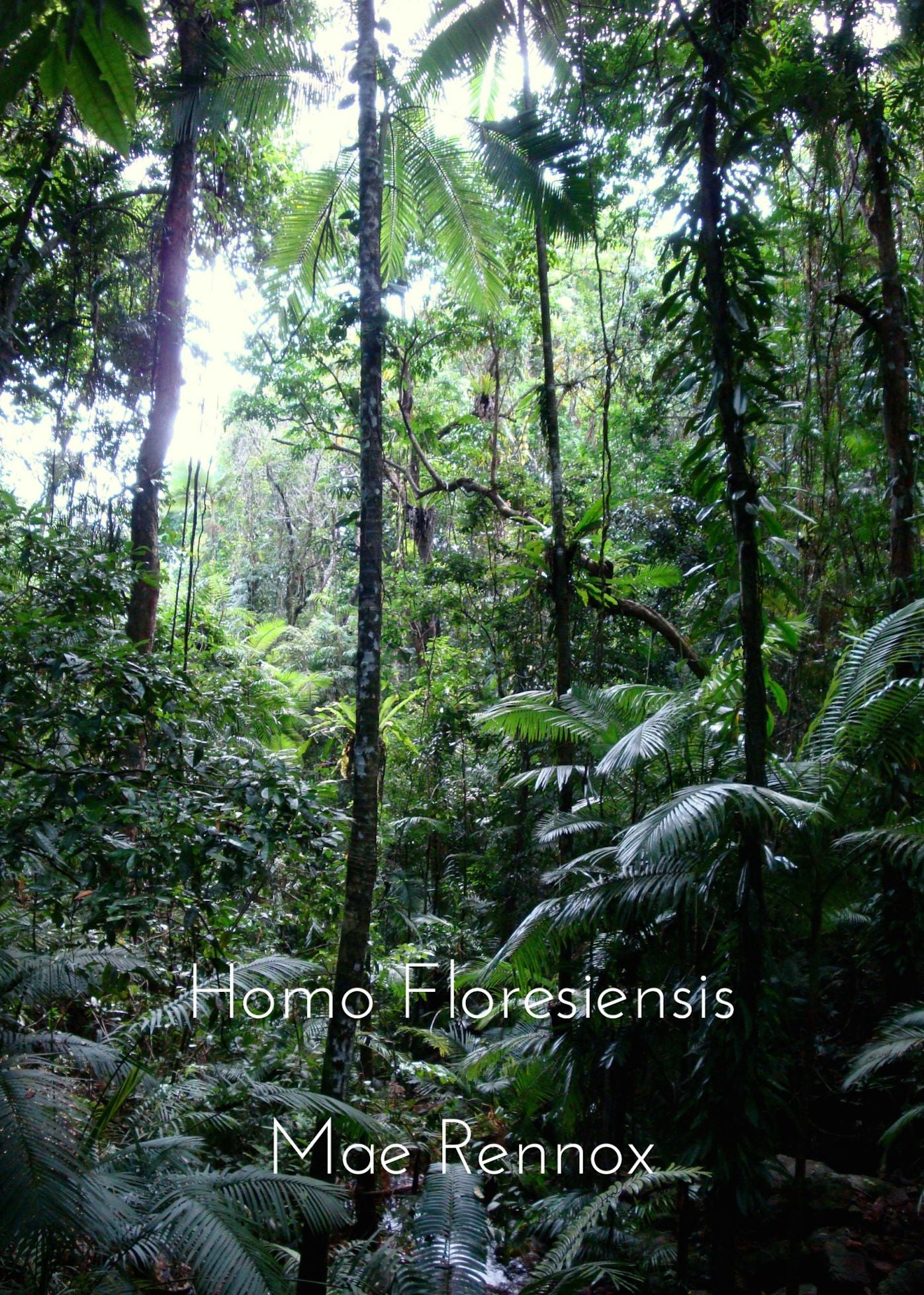 Homo Floresiensis