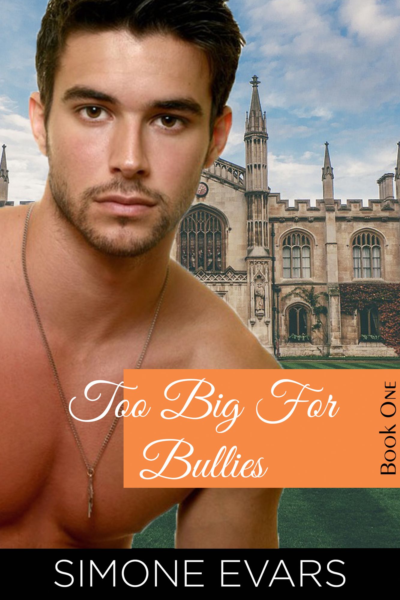 Too Big For Bullies: Book One: Dorm Woes