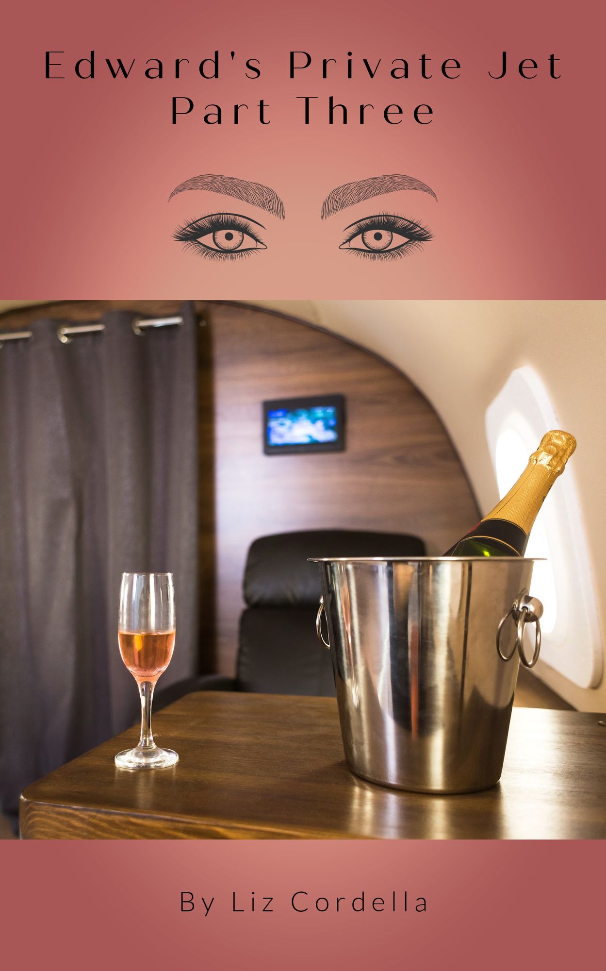 Edward's Private Jet-Part Three