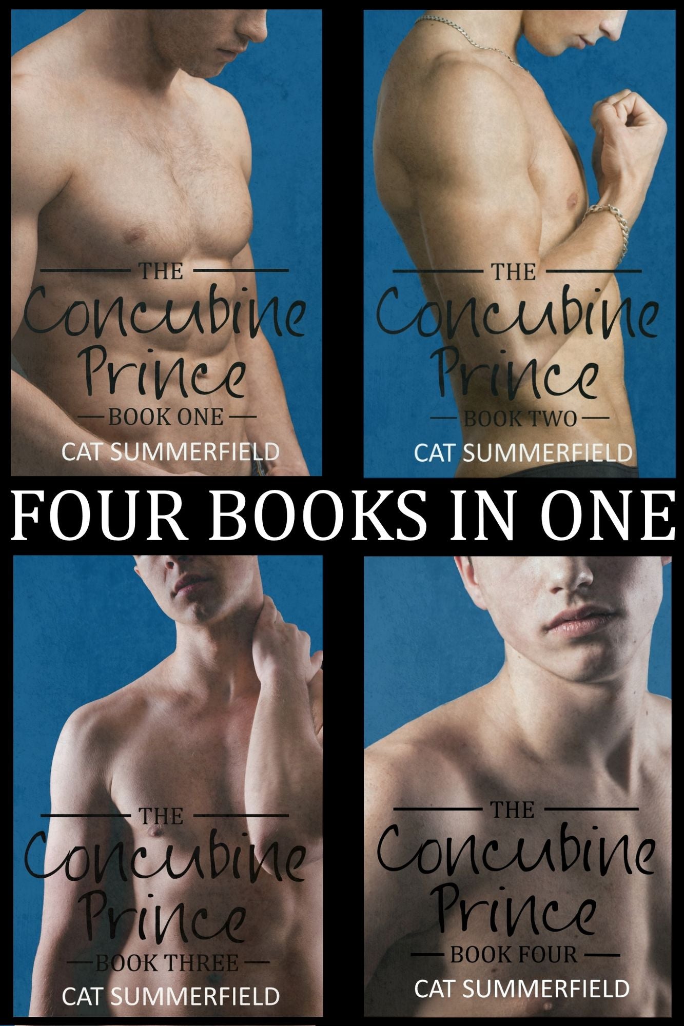 The Concubine Prince Anthology Volume One (Books 1-4)