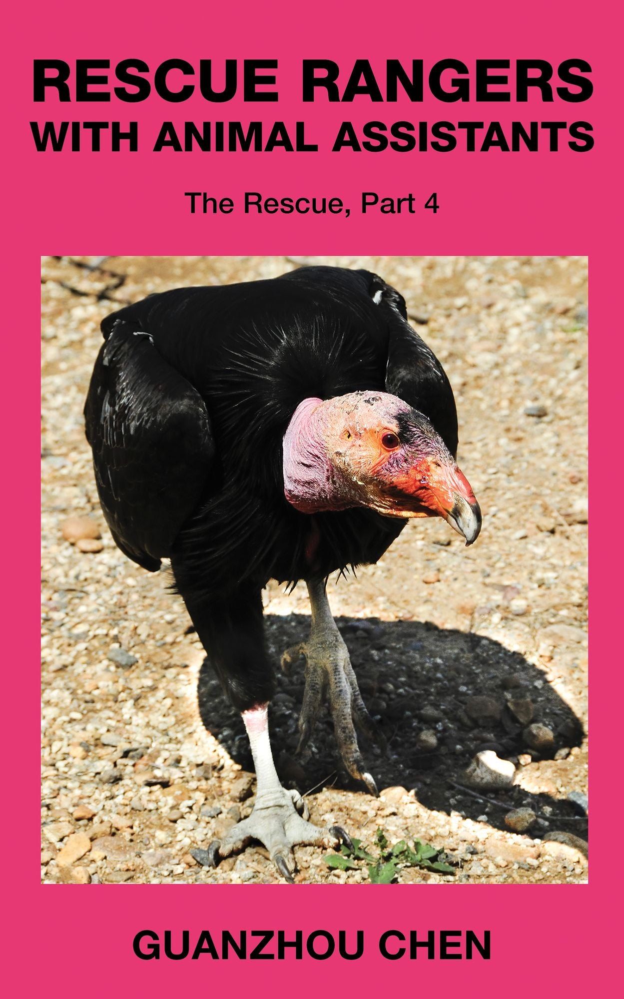 Rescue Rangers with Animal Assistants; The Rescue, Part 4