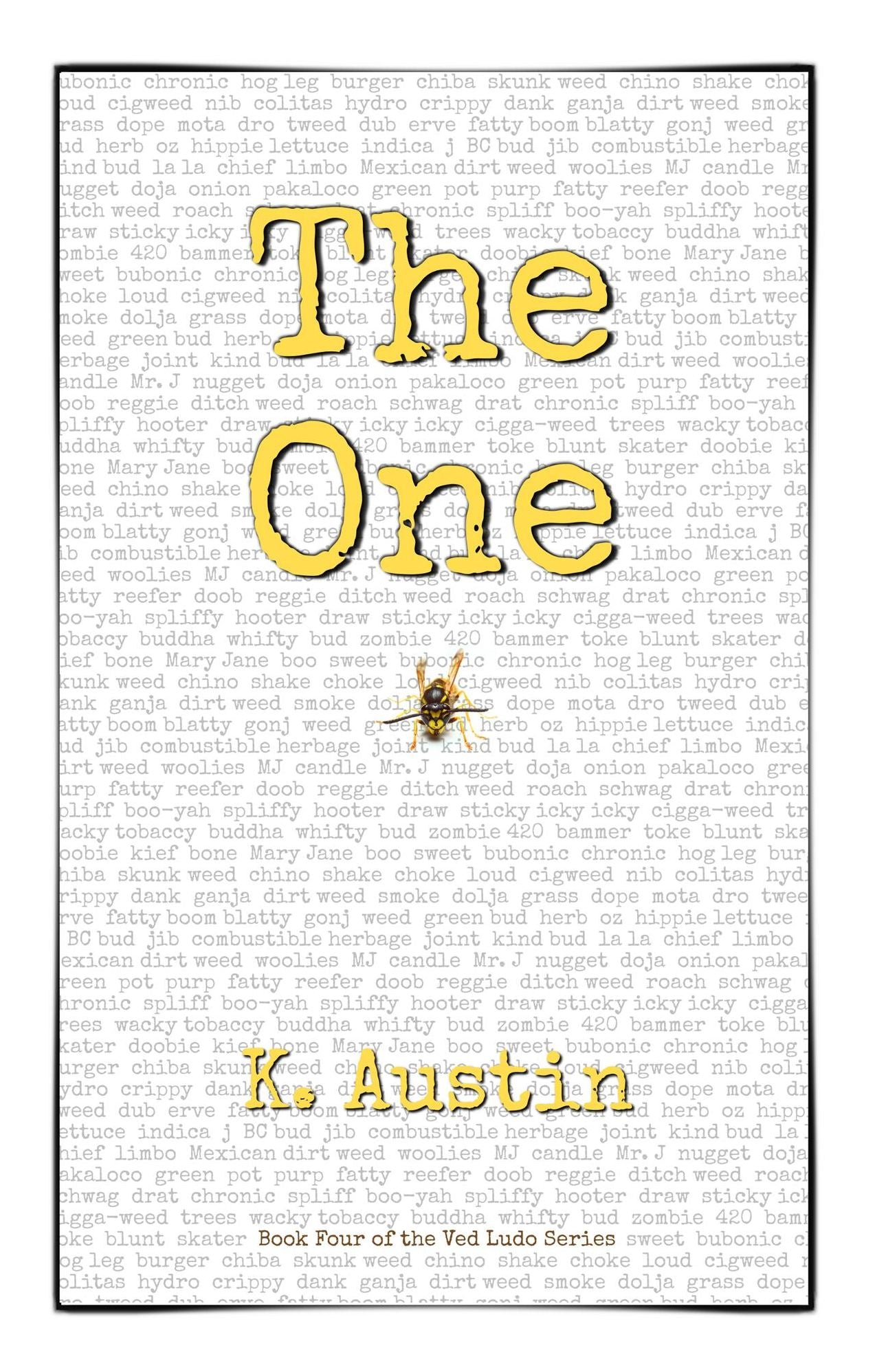 The One: Book Four of the Ved Ludo Series